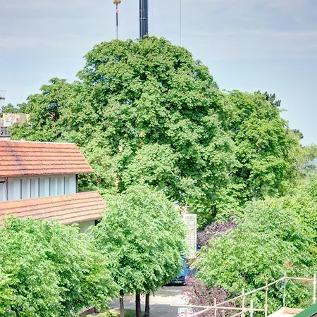 Sunrise Close To The & By Renters